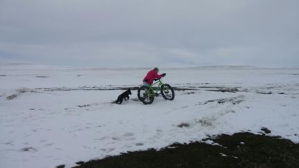 Tabaliah Mud Snow Bicycle 2017-01-20